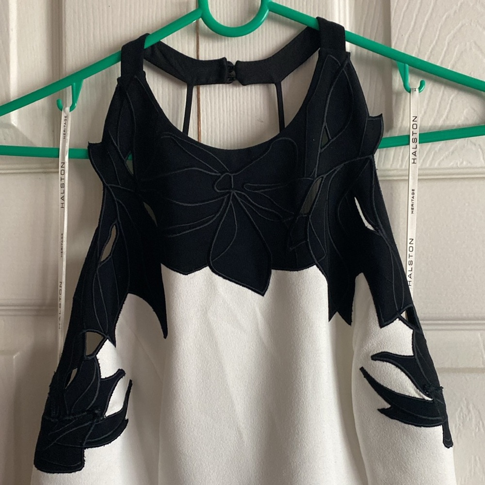 Halston Heritage White Embroidered Colorblock Mini Dress - Picture 5 of 10